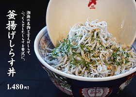 ふっくらとしたしらすを贅沢に使った釜揚げしらす丼